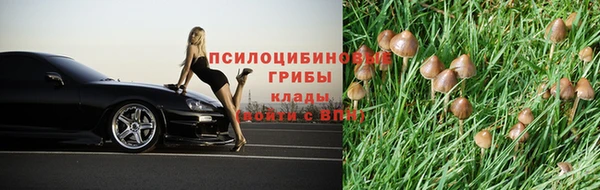 ешки Абаза