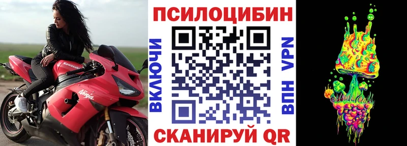 omg как войти Вологда Псилоцибиновые грибы GOLDEN TEACHER