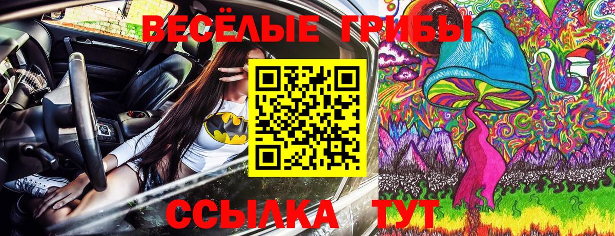 Псилоцибиновые грибы Magic Shrooms Вологда